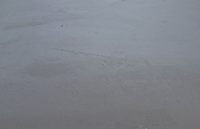 asphalt-sealcoating--e1534951521927_edit